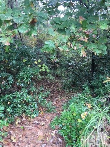 Paradise Harbor - Land