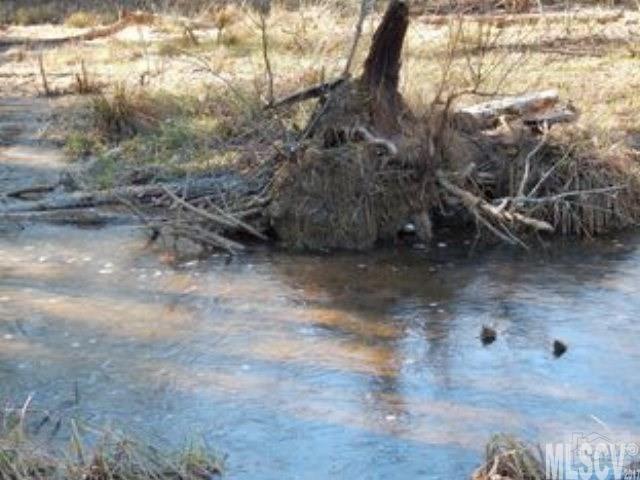 Paradise Harbor - Land