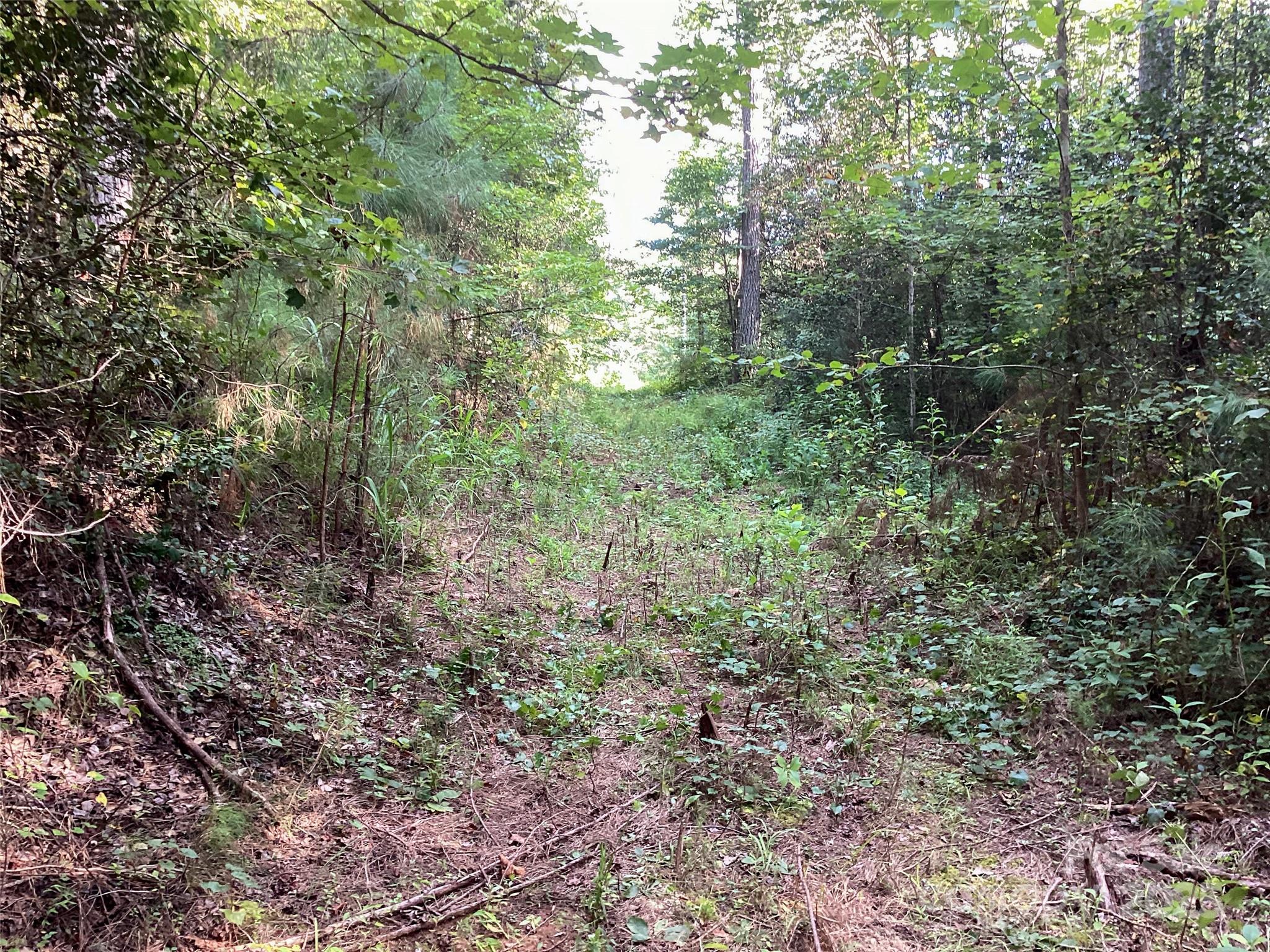 The Waterfront Club - Land