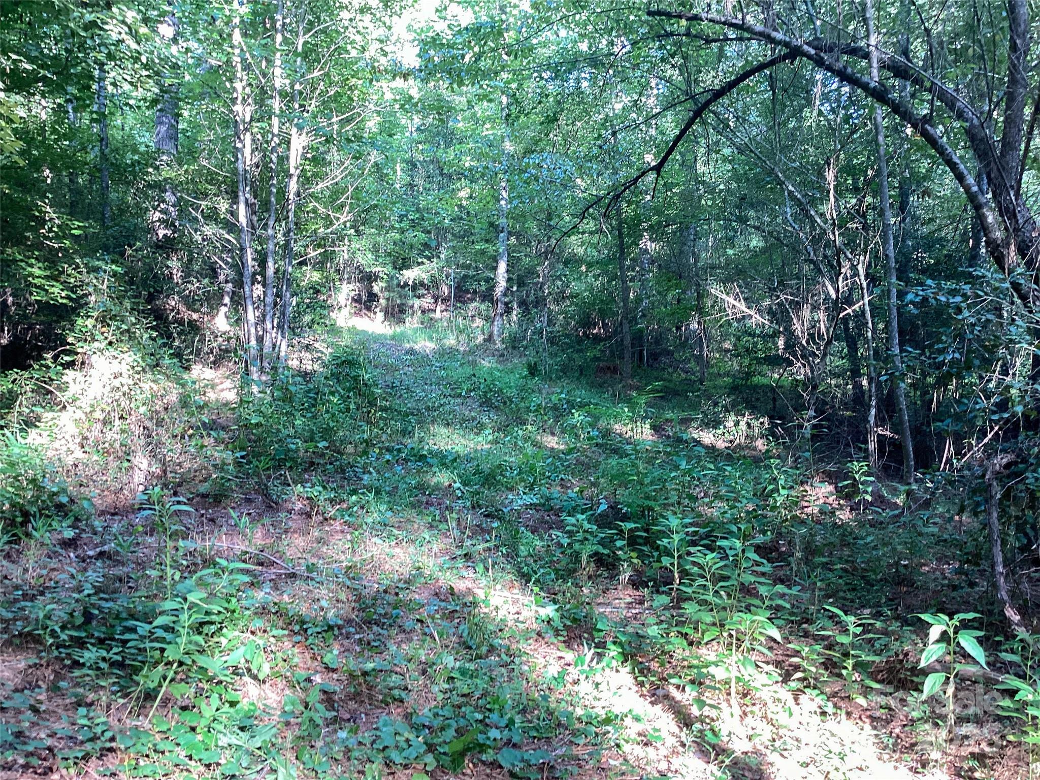 The Waterfront Club - Land