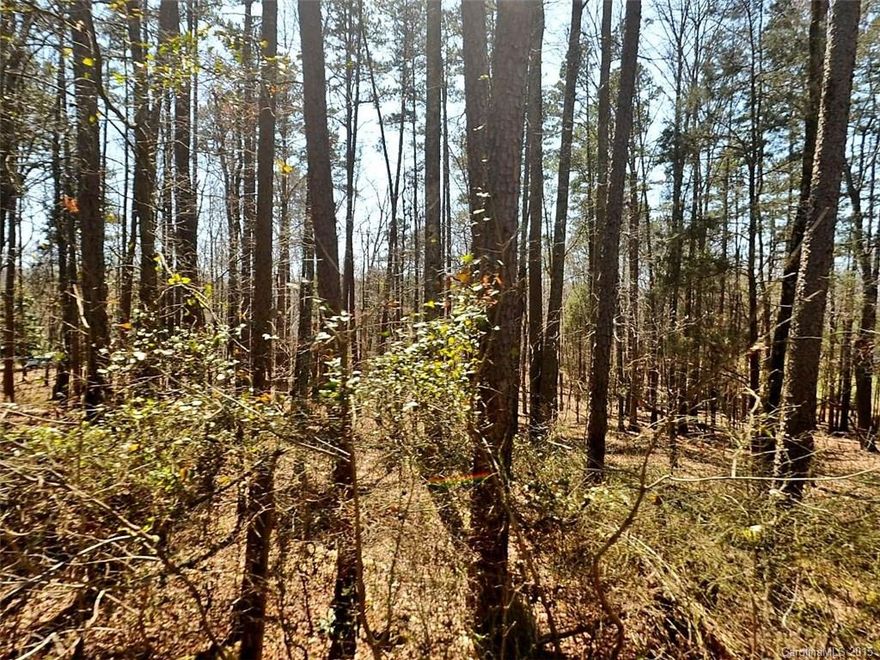 This tract is made up of 4 parcels and the tax value shown is for one parcel. There are three residence's on the tract. There is rd. frontage on Galloway rd. and the property is bordered on the east by I85, on the west by a residential subdivision and on the south by a 30 acre tract fronting on Mallard Creek Church Rd. There will be a connecting street between Galloway and Mallard Creek Church Rd. when these properties are developed.