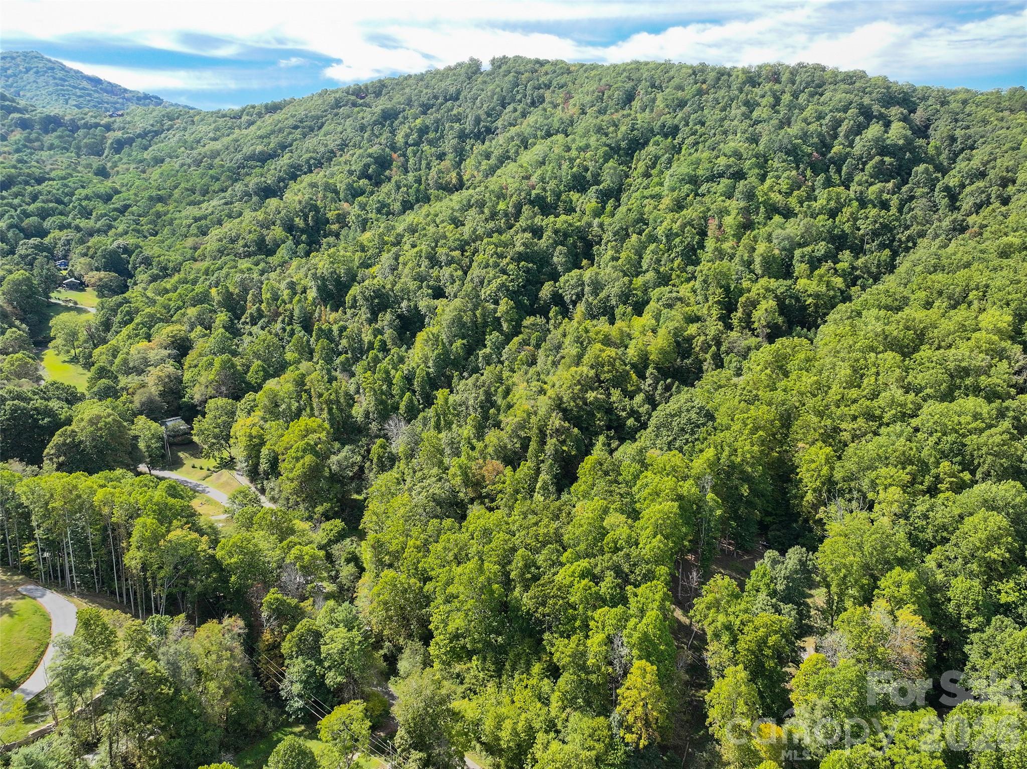 000 Mauney Cove Road
