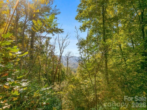 Photo of TBD Laurel Heights #35, Marshall, NC 28753 (MLS # 4416065)