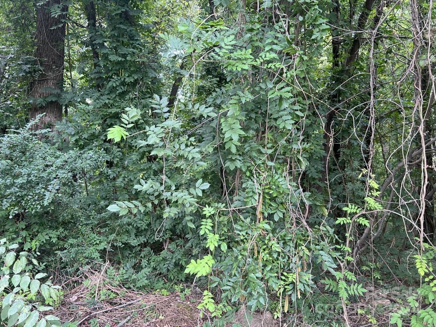 Bring your vision and turn it into reality on this wooded parcel, approximately 1.08 Acres+/- located in New London. The land cannot be divided so it offers the buyer a perfect opportunity to build a home with a spacious yard, garden or both. The parcel is zoned RA. Please check with Stanly county planning and zoning concerning your intended use and required setbacks. The land has not been perk tested. Well and septic are required.