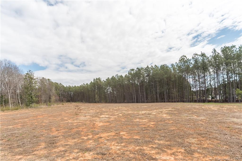 Wild Pine - Residential