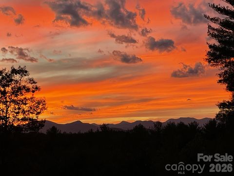 1267 Ten Whigs Ridge Nebo NC 28761