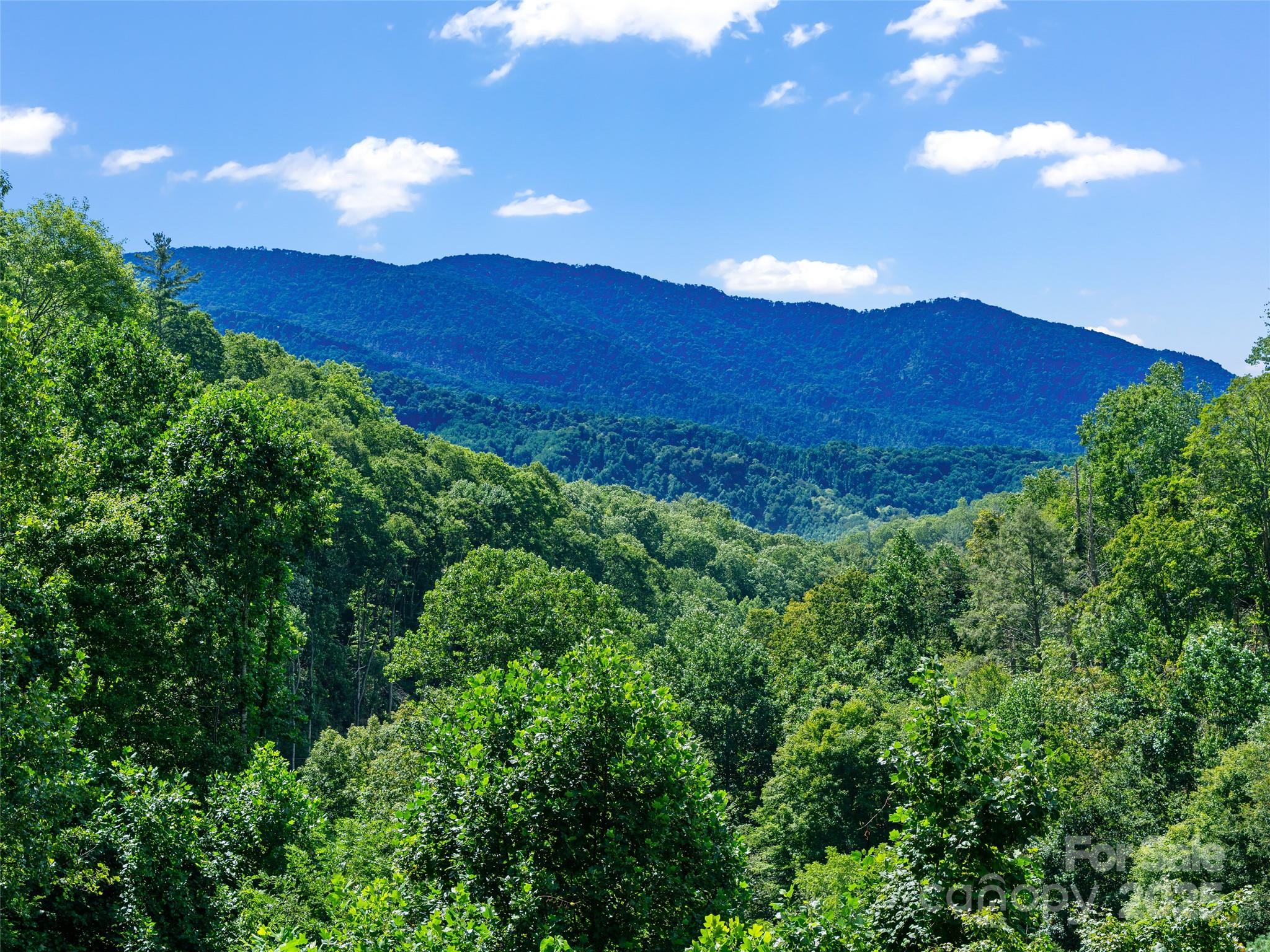 TBD Greasy Creek Road
