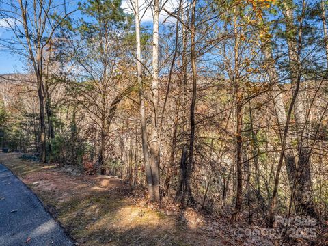 167 Firefly Point Lake Lure NC 28746