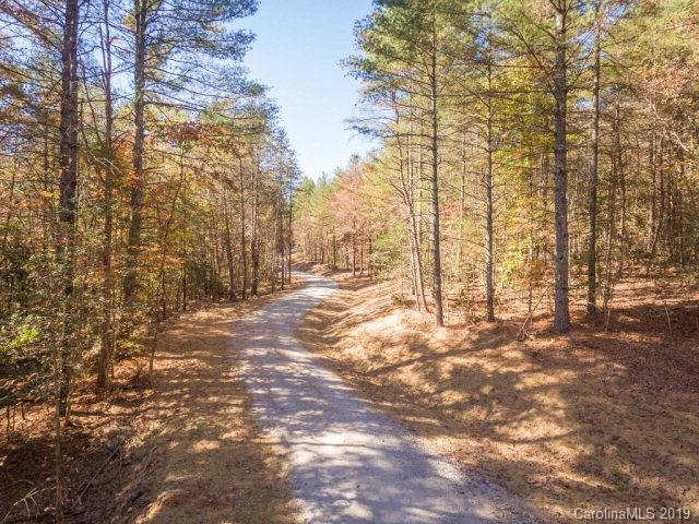 McGalliard Pointe - Land