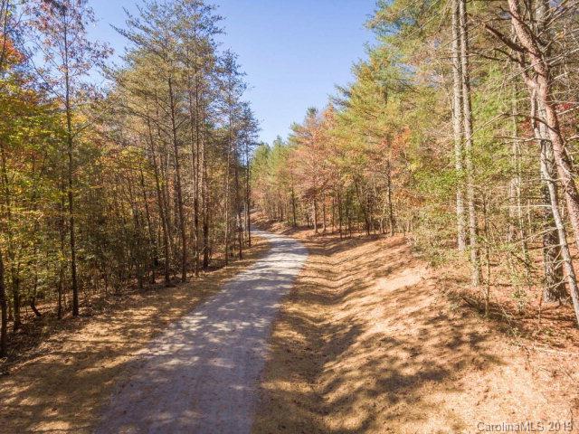 McGalliard Pointe - Land