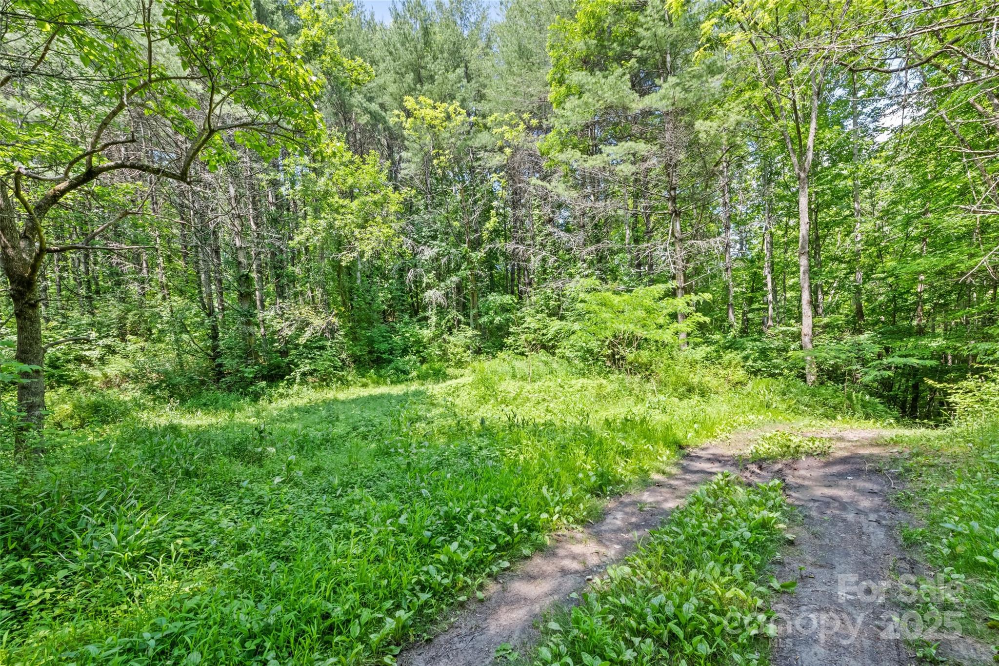 00 White Oak Road