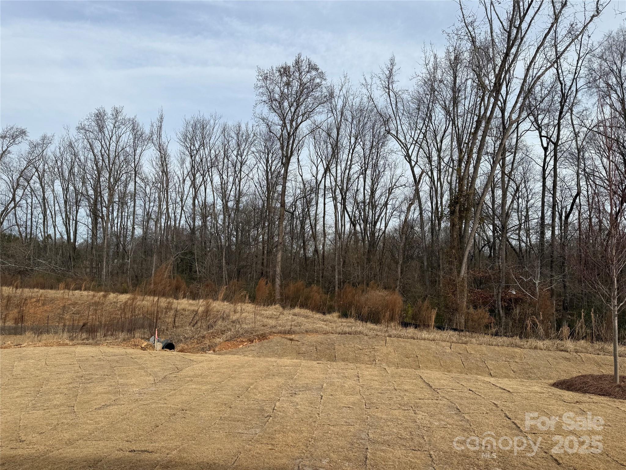 Cedar Meadows - Residential