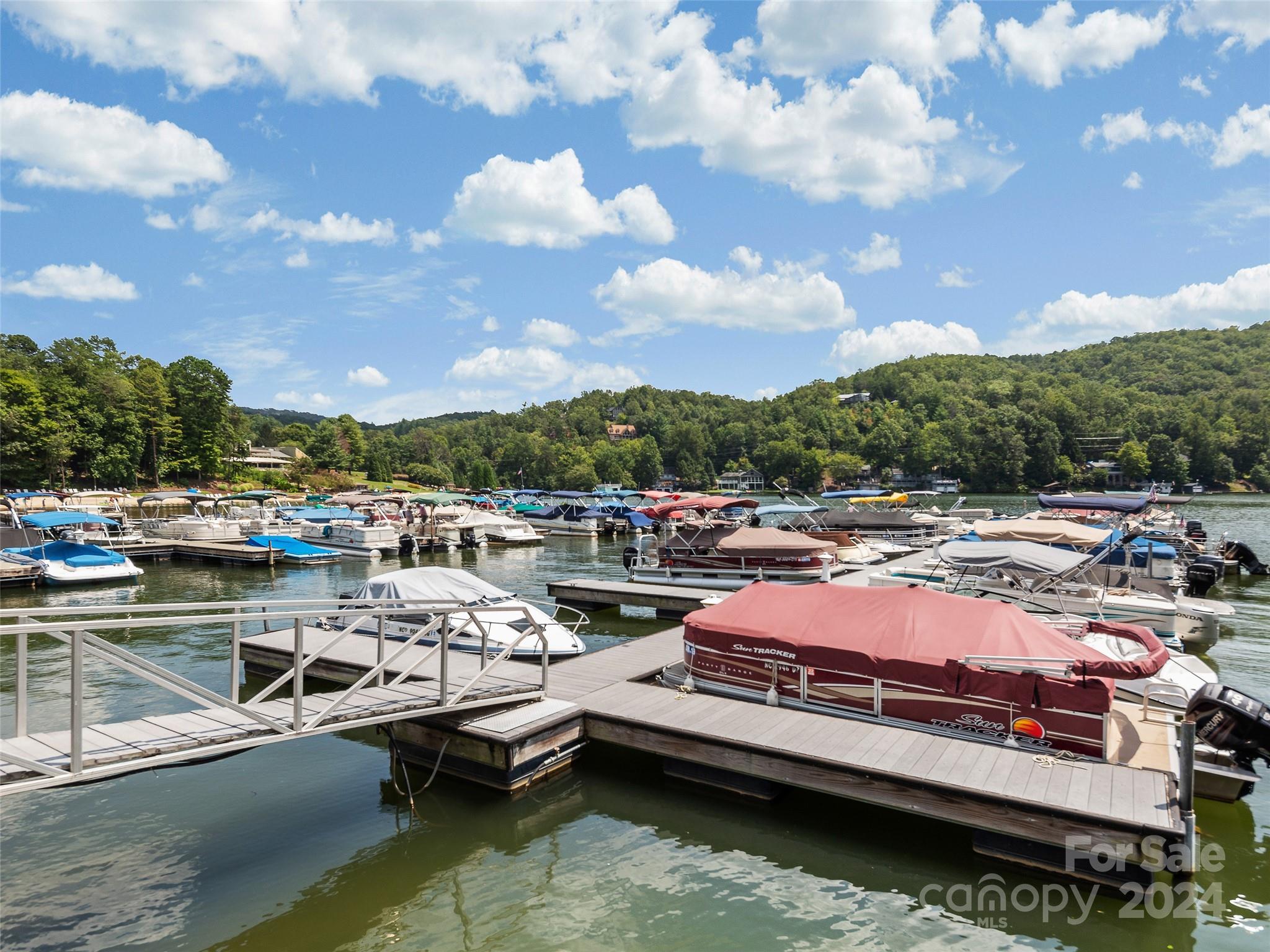 Rumbling Bald on Lake Lure - Land