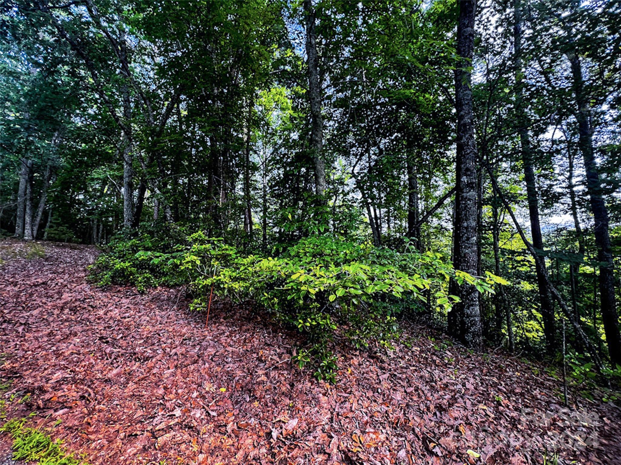 Rumbling Bald on Lake Lure - Land