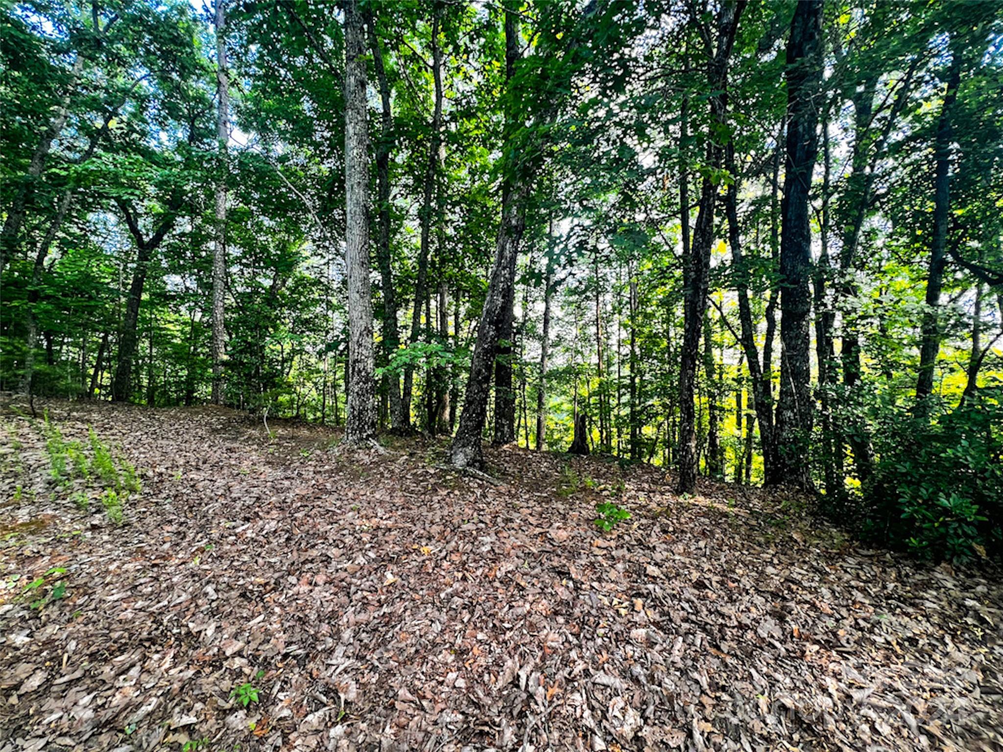 Rumbling Bald on Lake Lure - Land