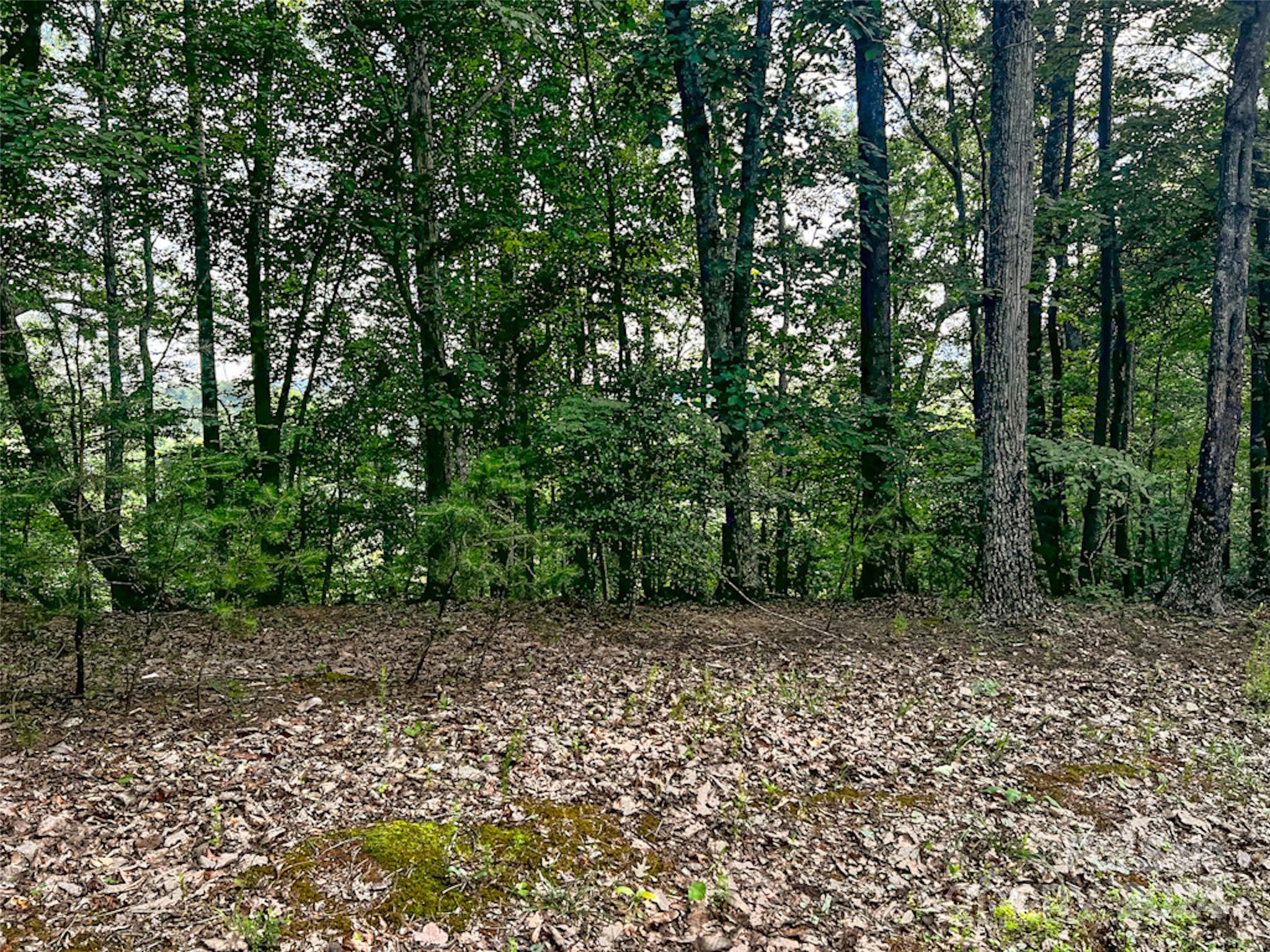 Rumbling Bald on Lake Lure - Land