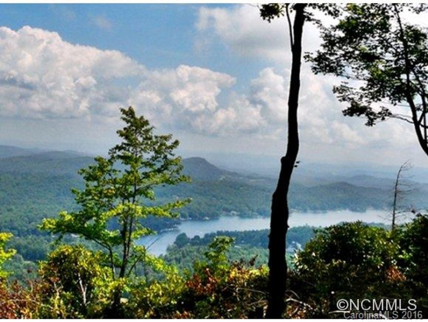 Panoramic View From 4,000 ft elev. A rhododendron lined access road leads to your driveway through maples, oaks, rhodo and pines. The view opens to a sweeping view of close mountain faces, layered long range mountain ridges and a bird’s-eye view of LTCC’s golf course and Lake Toxaway, NC’s largest private lake.This easy build homesite has a view worth waking up to with coffee every morning. Water tap available. Minutes to Lake Toxaway Country Club and the lake’s marina. Owner financing avail.