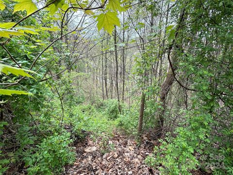 16 Waxwing Way 16 Asheville NC 28804
