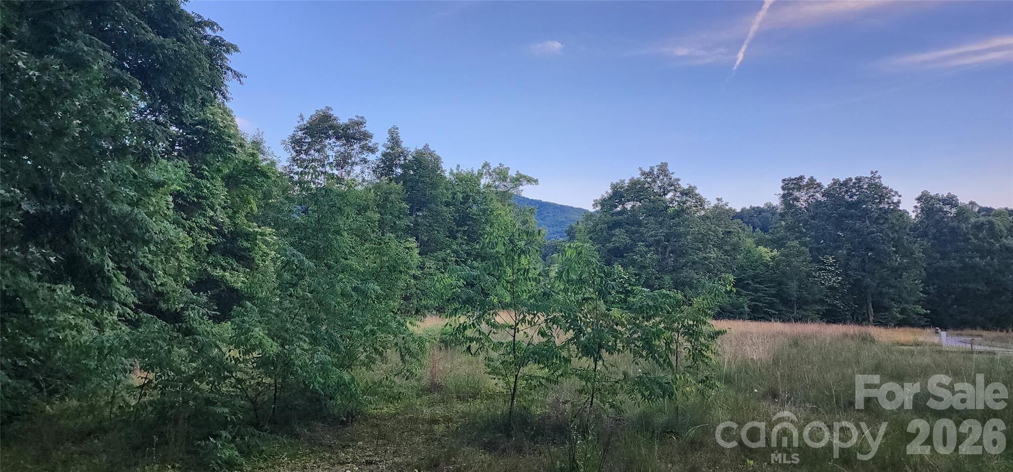 Campbell Mountain Estates - Land