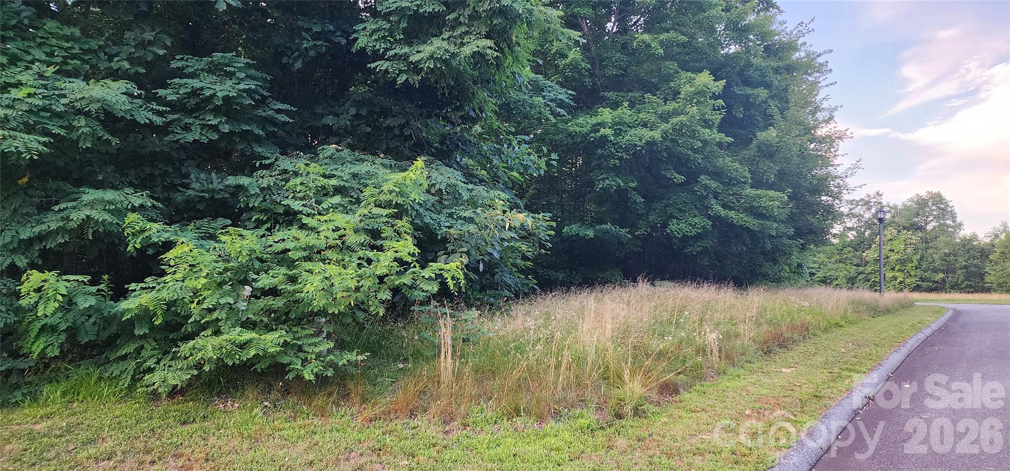 Campbell Mountain Estates - Land