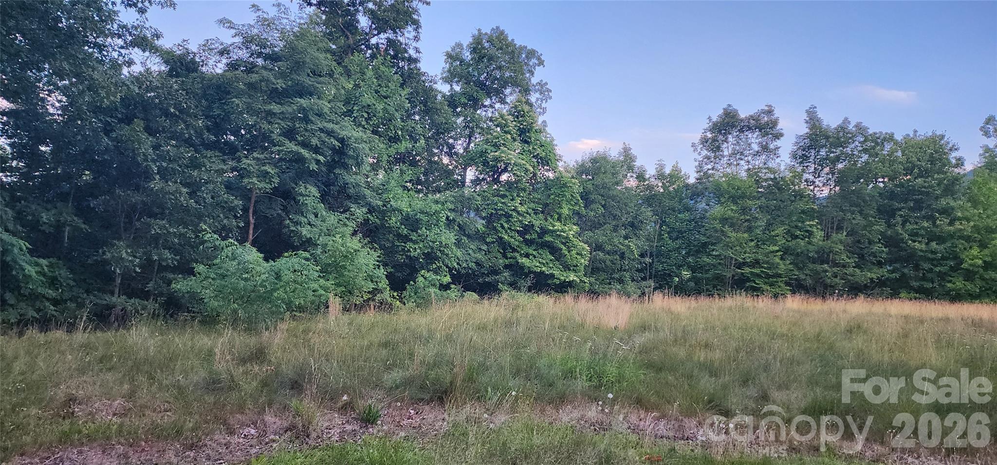 Campbell Mountain Estates - Land