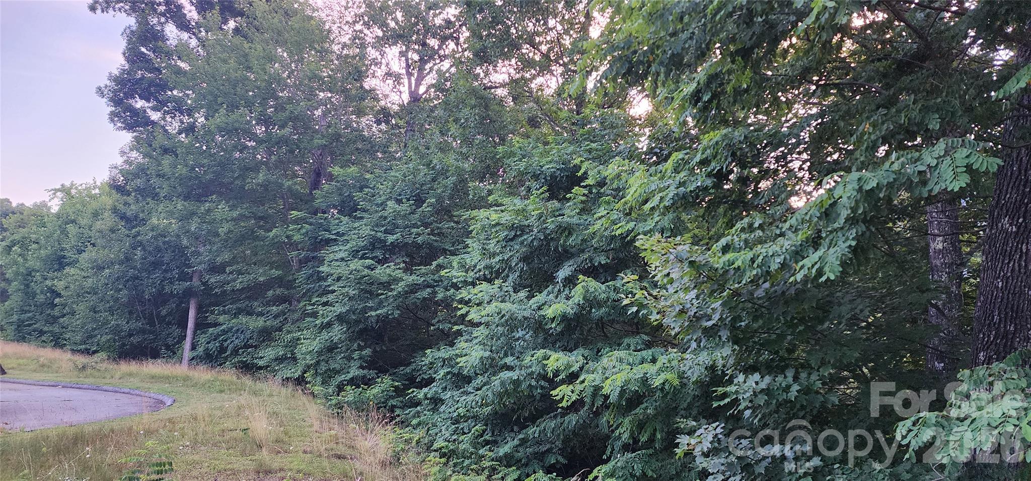 Campbell Mountain Estates - Land