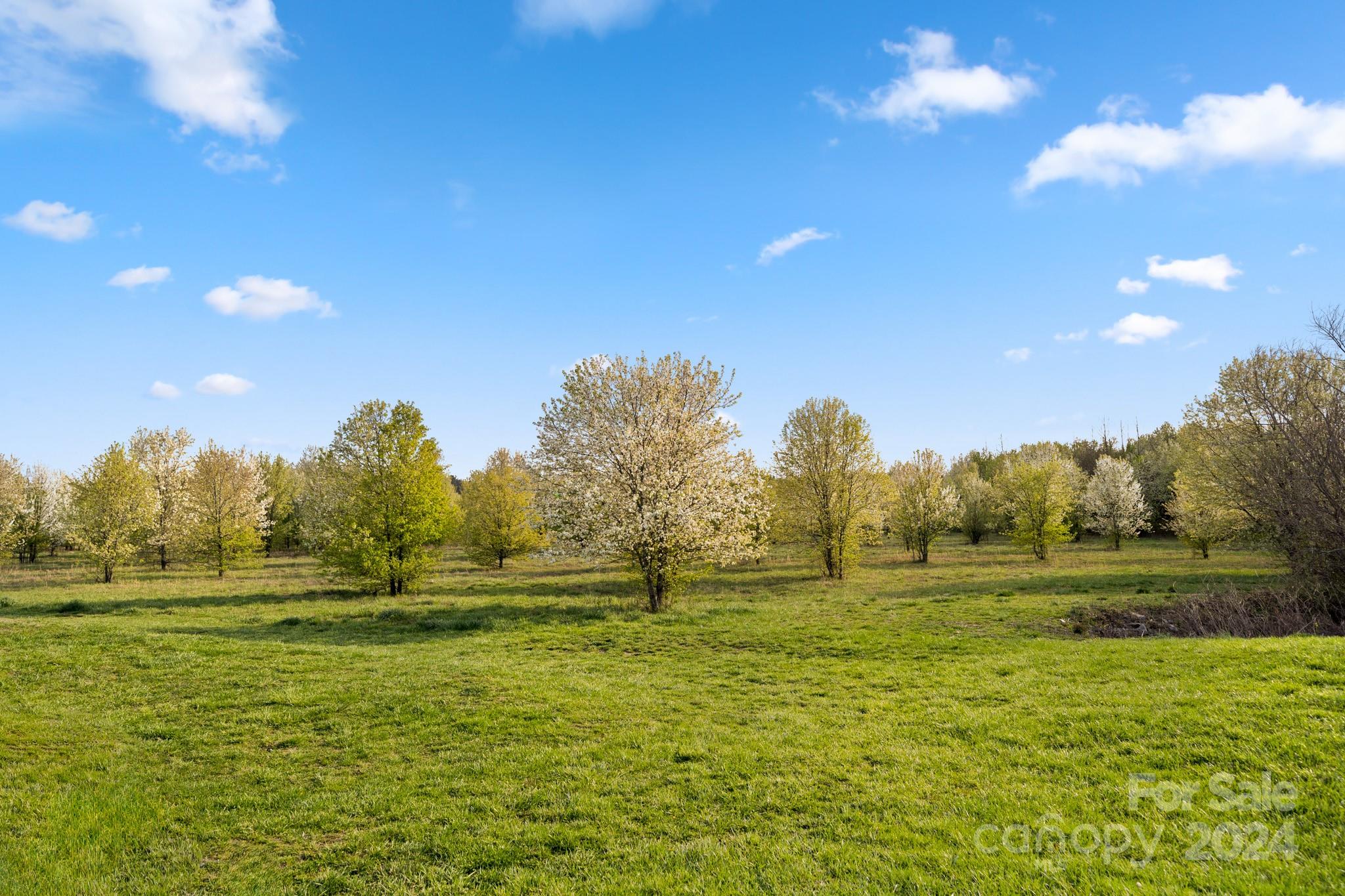 River Stone - Residential