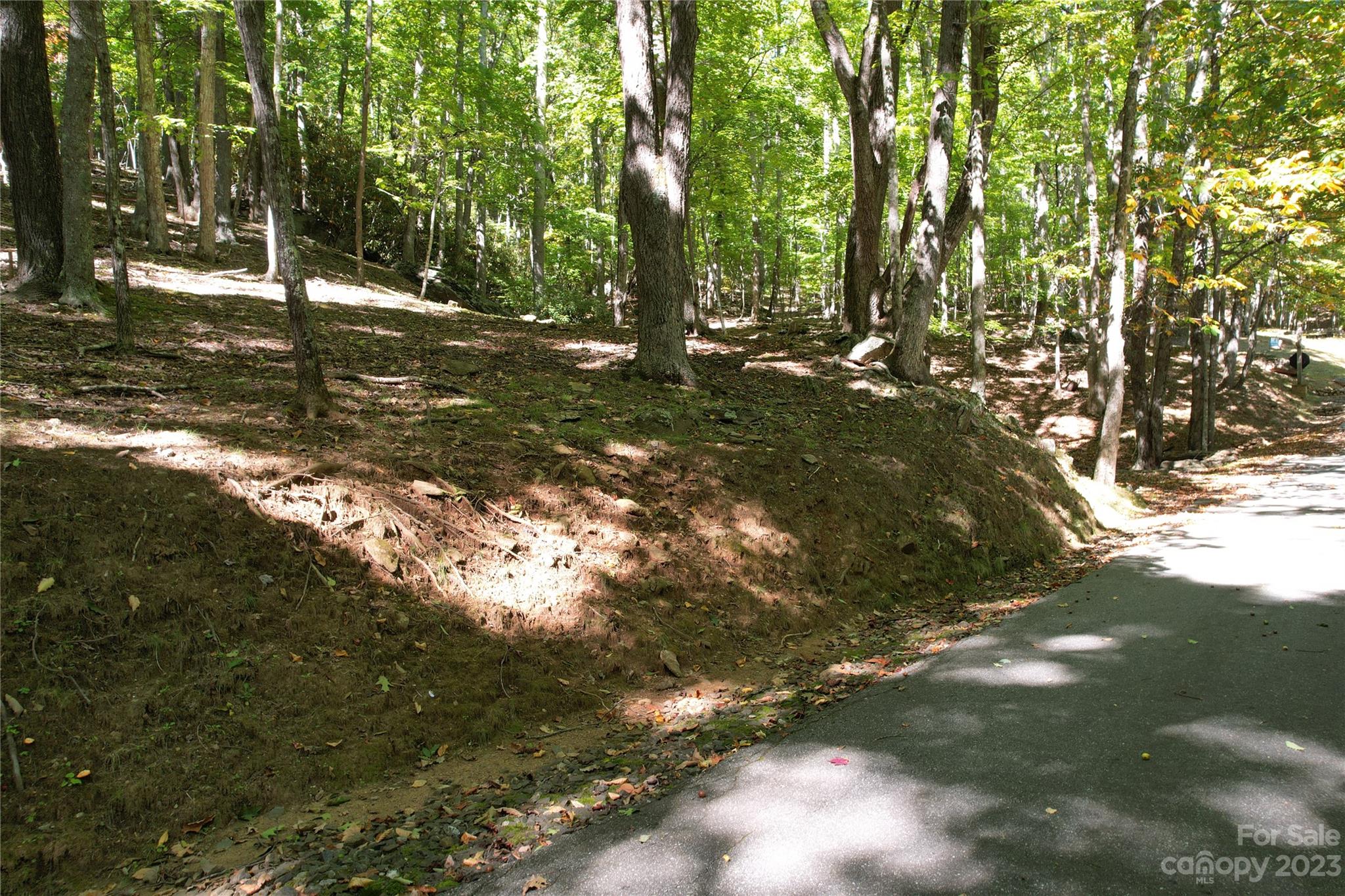 9999 Celo Heights Way 5