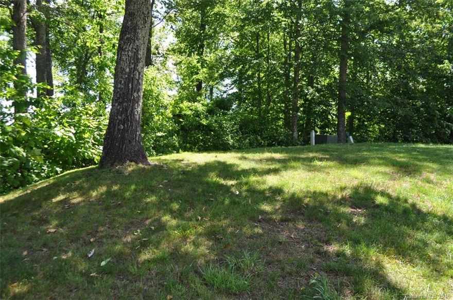 This is one of the largest home sites on the mountain with a view to the northeast. At night you can see the twinkle lights of the town of Burnsville. The sellers had house plans already in place as an example of what can be built on this site. It is priced to sell!