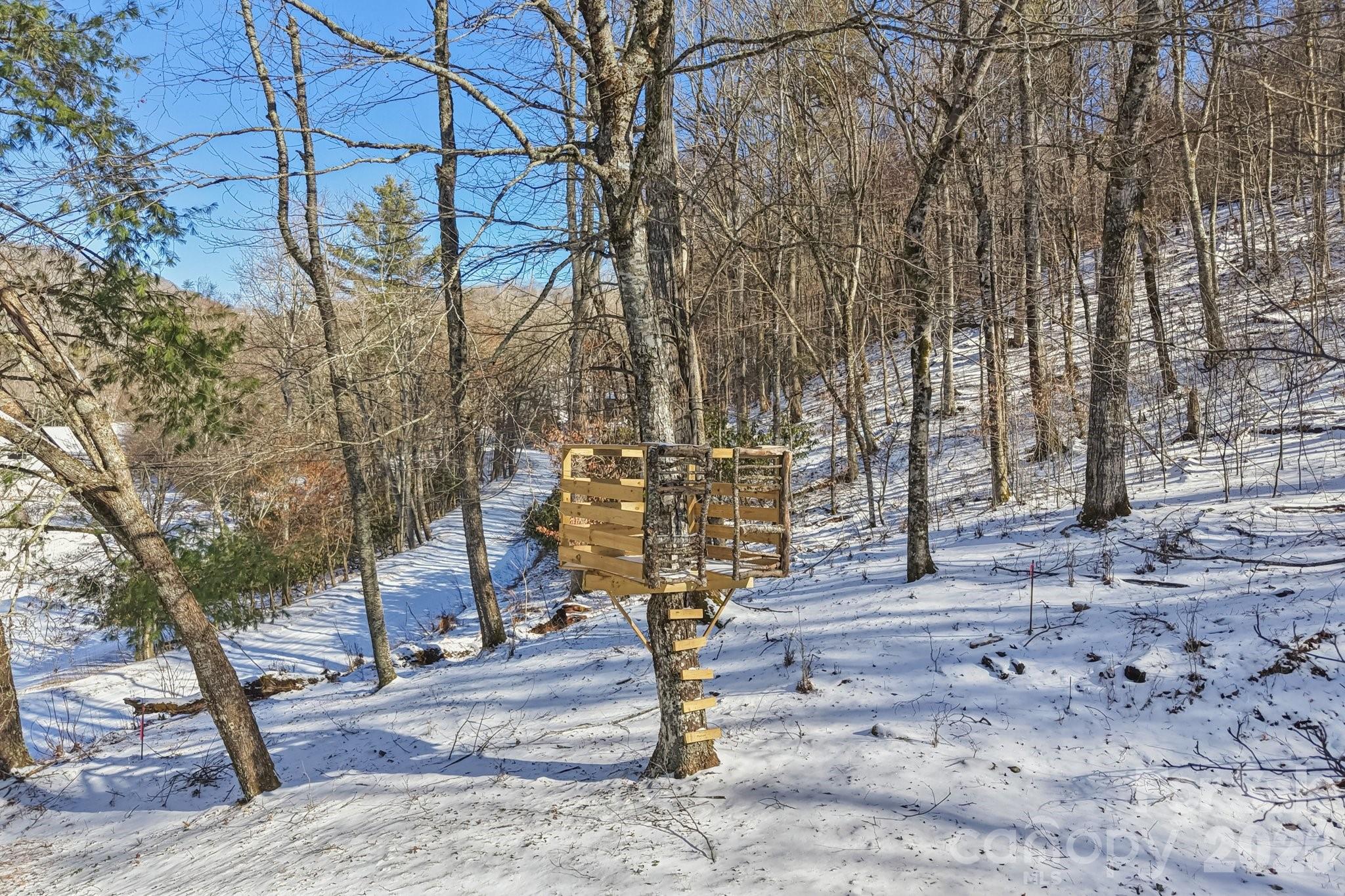 Wolf Laurel - Residential