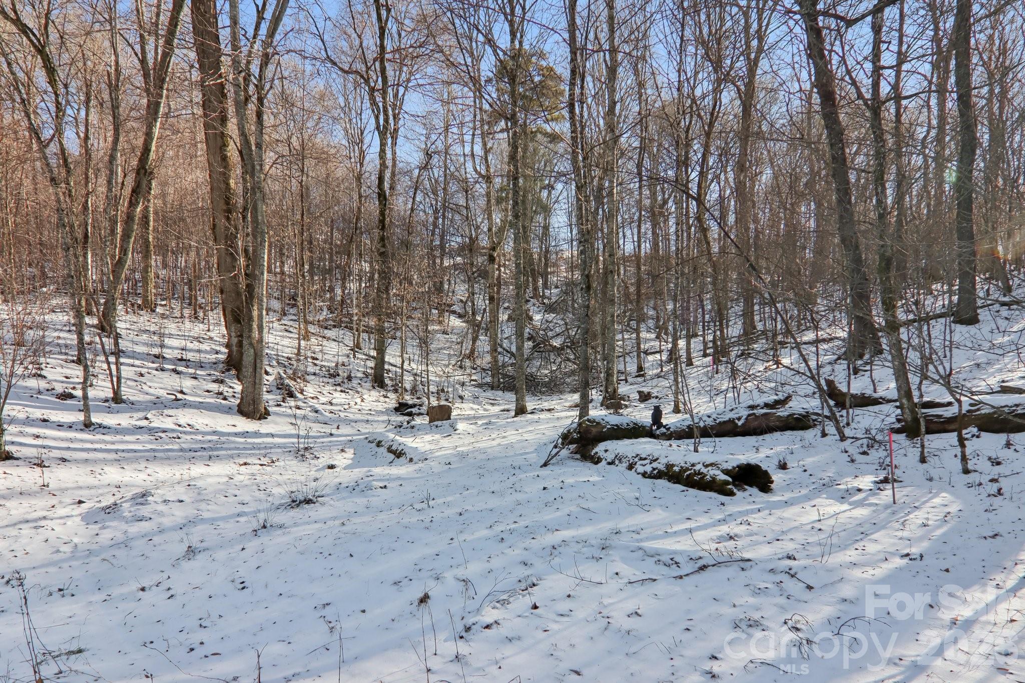 Wolf Laurel - Residential