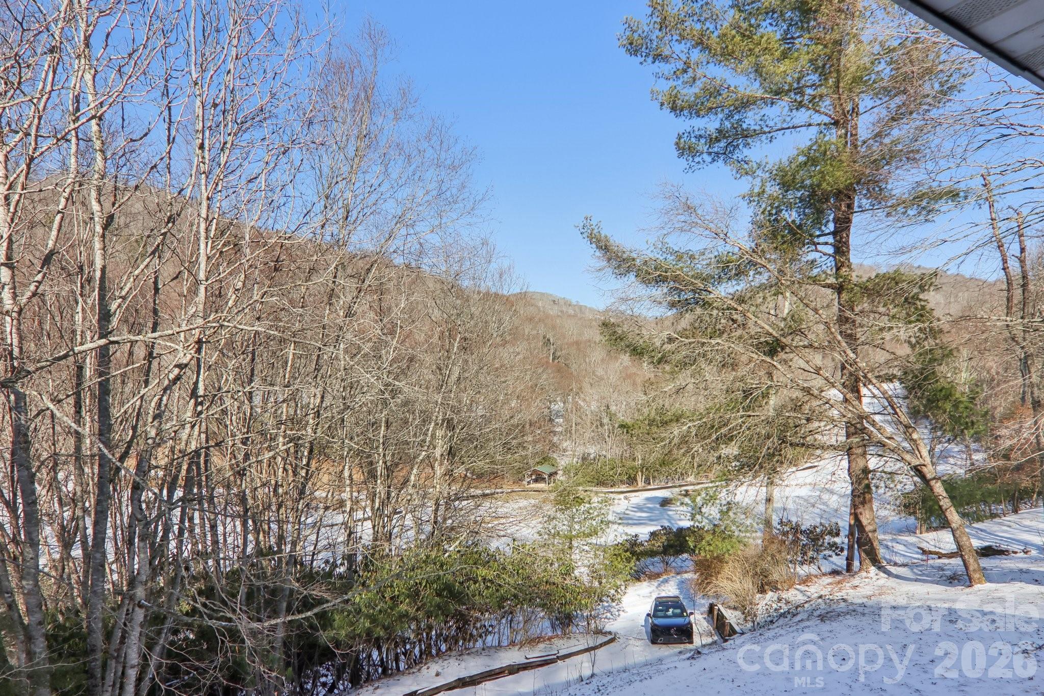 Wolf Laurel - Residential