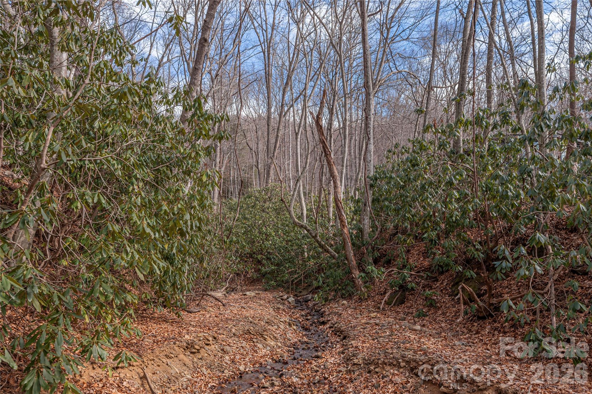 Springdale Estates - Land