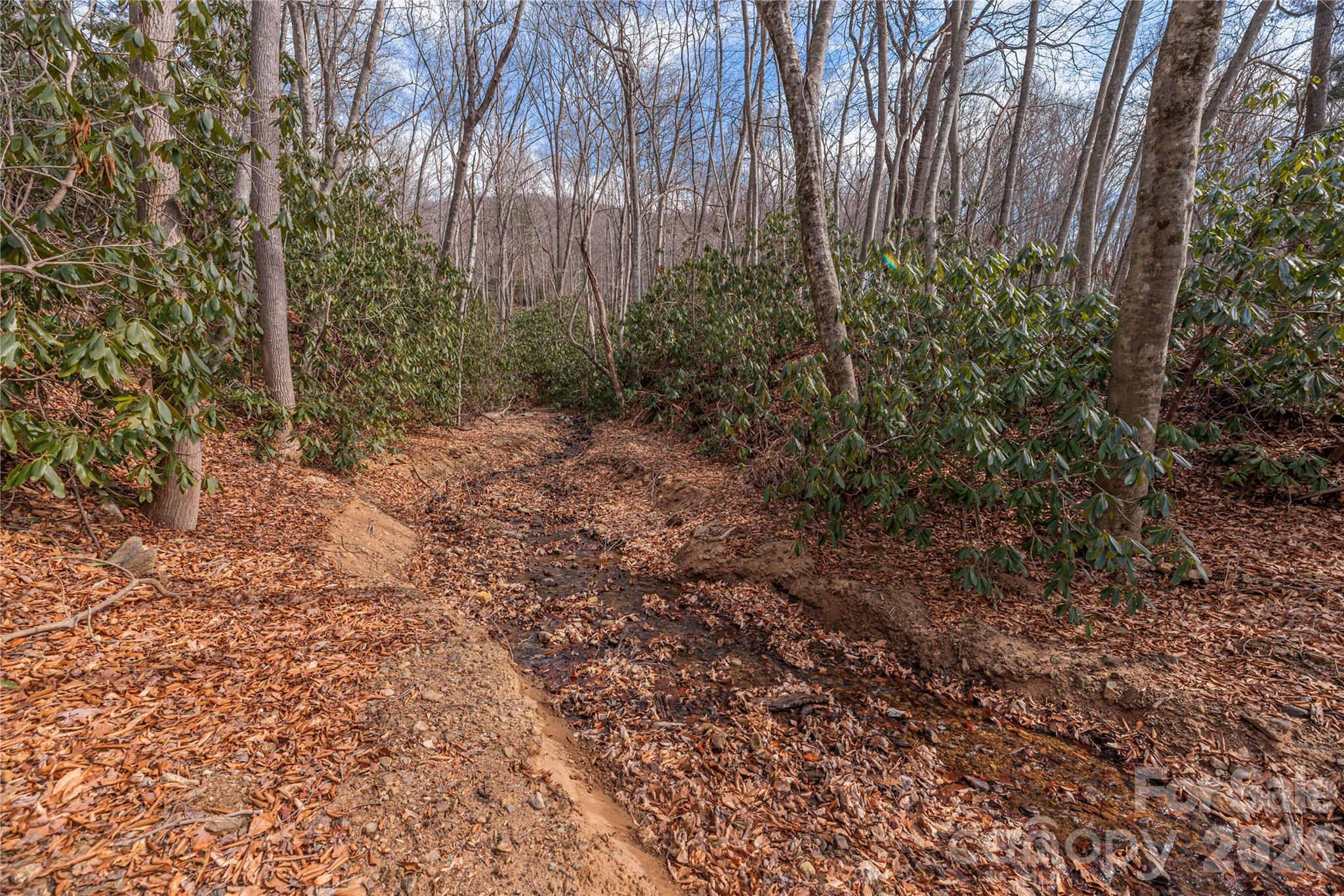 Springdale Estates - Land