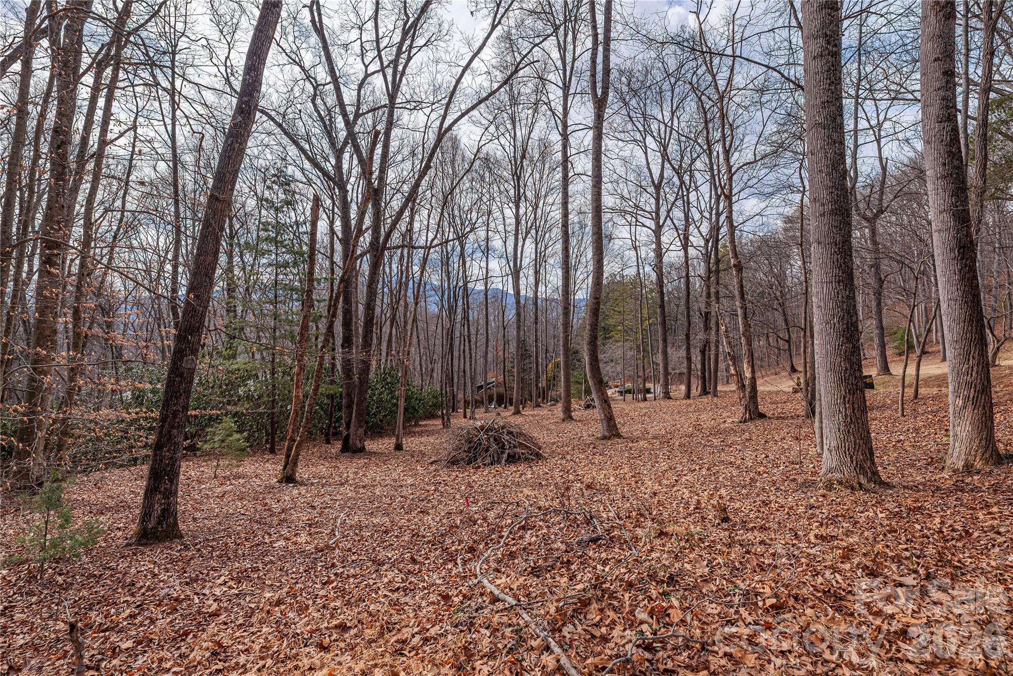 Springdale Estates - Land