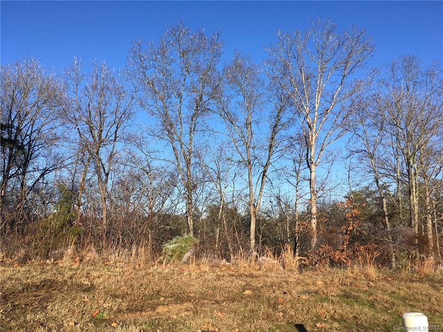 Nearly 1/2 acre lot for sale in an established community...imagine the possibilities for building your dream home!  Wooded privacy!  Please call for more information.