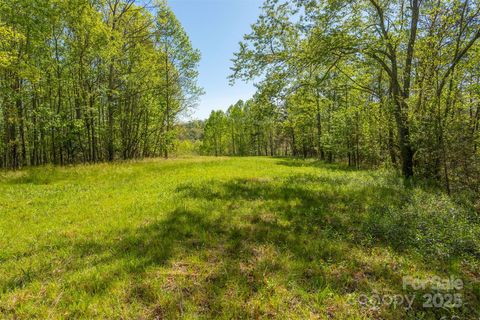 000 Thousand Oaks Drive Old Fort NC 28752