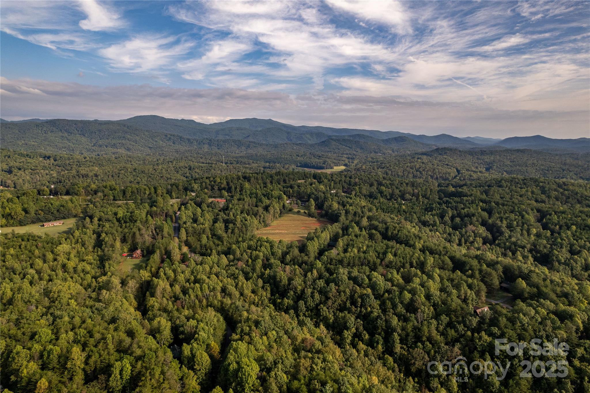 000 Silent Forest Way