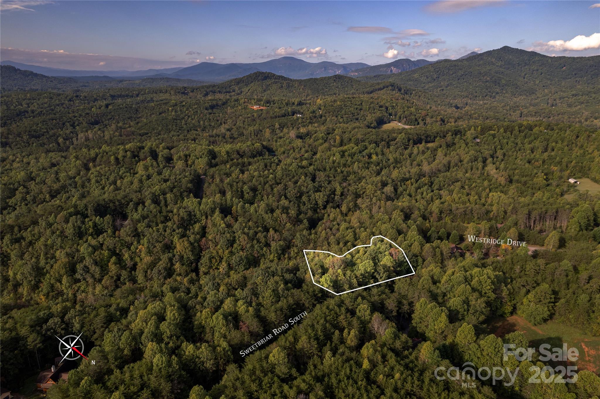 000 Silent Forest Way