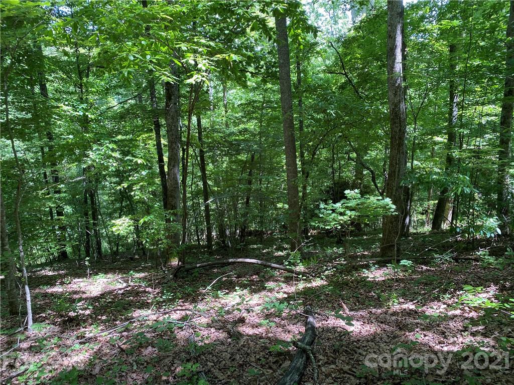 Champion Hills - Land