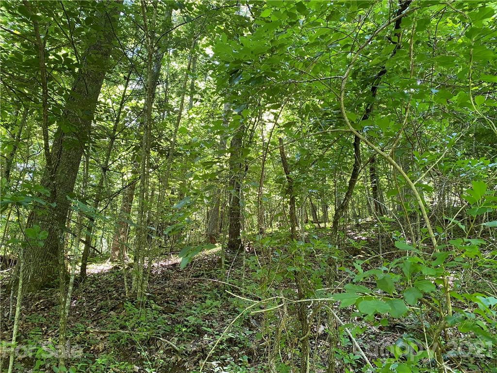 Champion Hills - Land