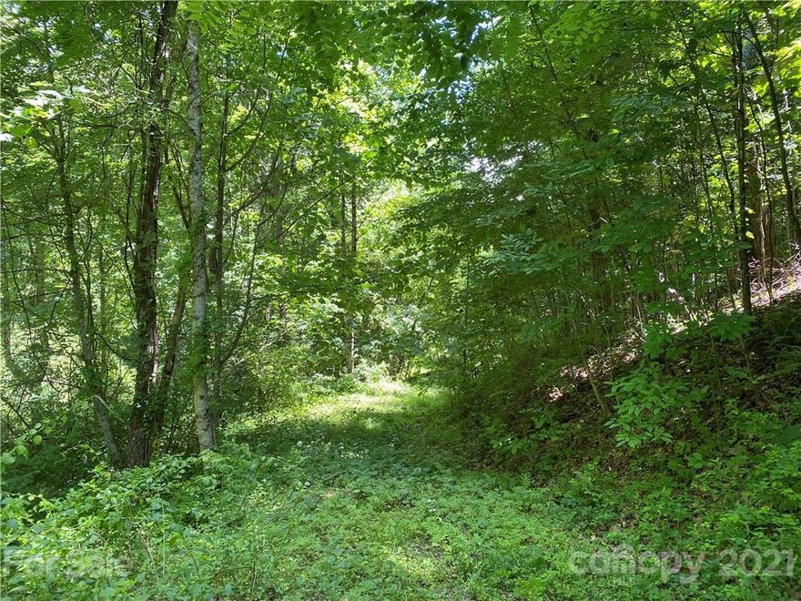 Tremendous 1+ acre lot in the premier golf community of Champion Hills.  This lot is located off of Chattooga Run and has an easement to the property.  Large, wooded lot with potential year round views.  This is owned by a local non-profit organization and funds will be used to help in the community.  Priced below tax and appraised value.  This is tract 2 of the located on the deed.  MOTIVATED SELLERS, BRING ALL OFFERS!