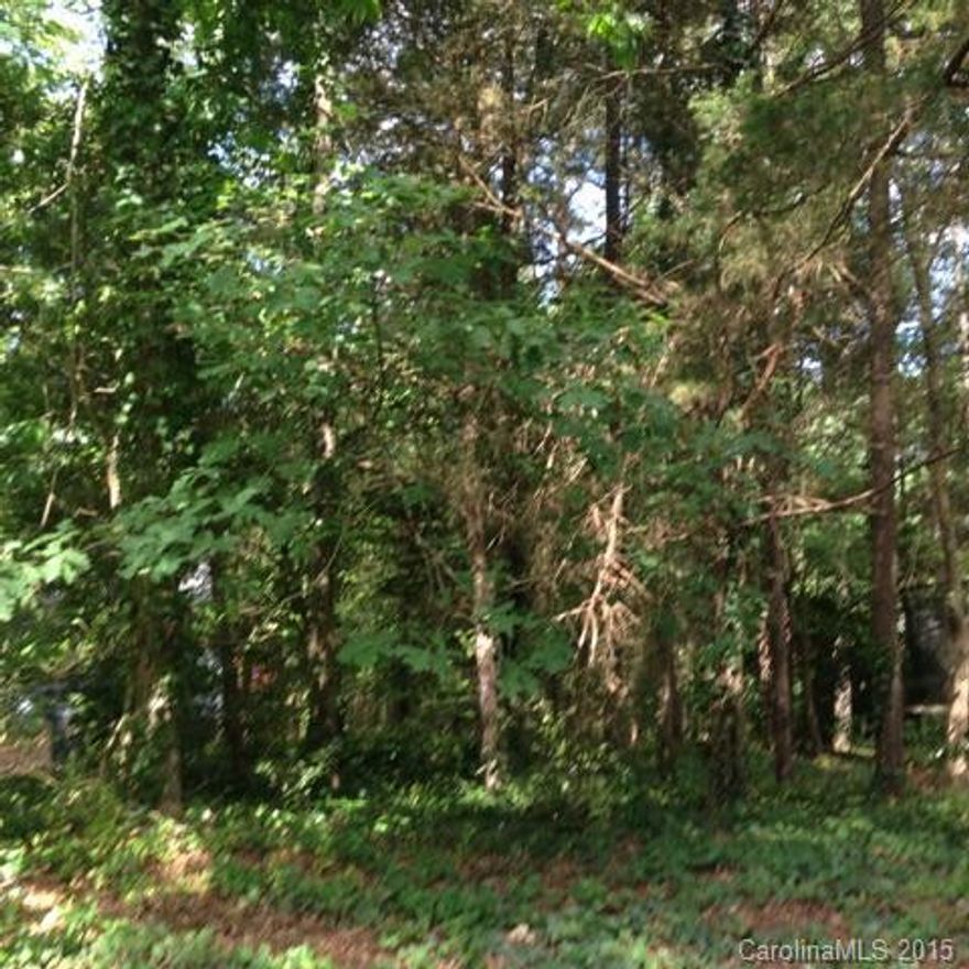 Amazing location - level lot in Tega Cay with amazing amenities.