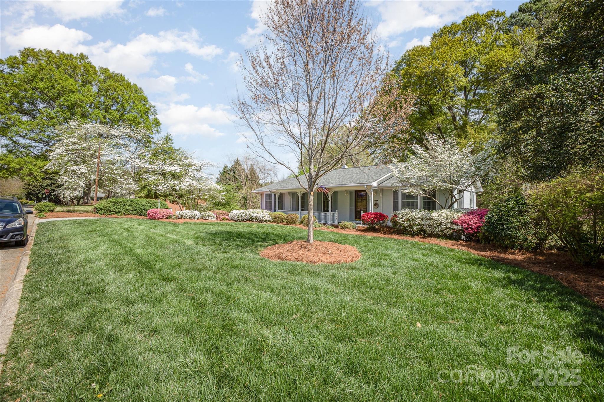 Beverly Hills - Residential