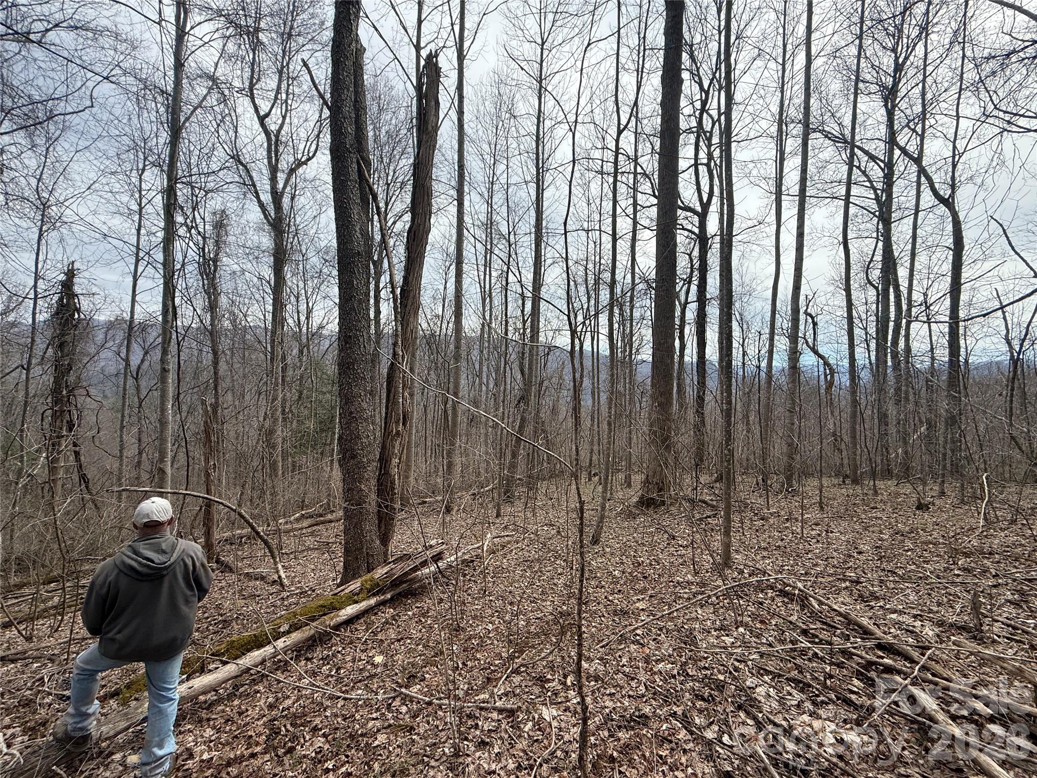 000 Caldwell Mountain Road