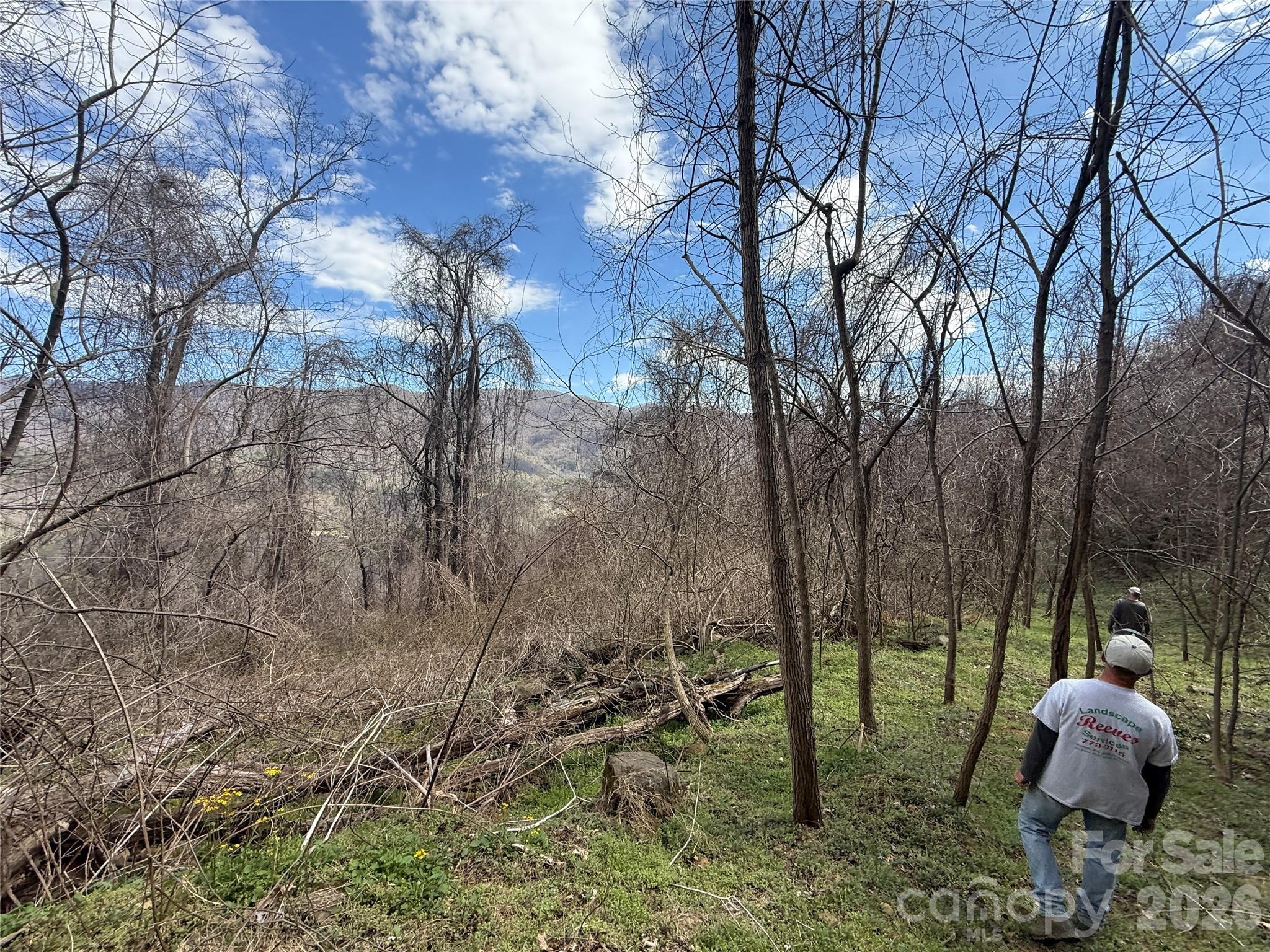 000 Caldwell Mountain Road, Hot Springs, NC, 28743