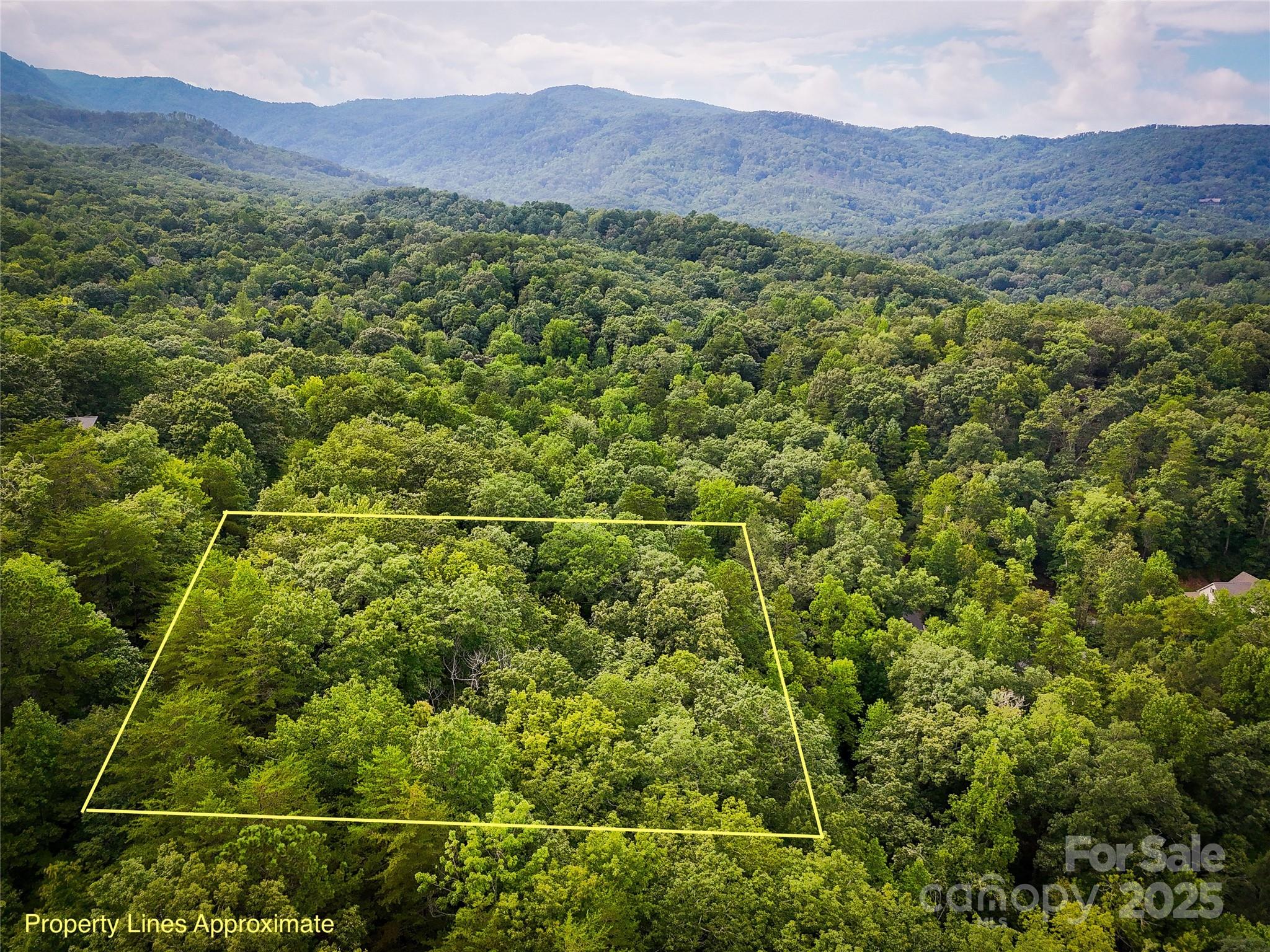 Rumbling Bald on Lake Lure - Land