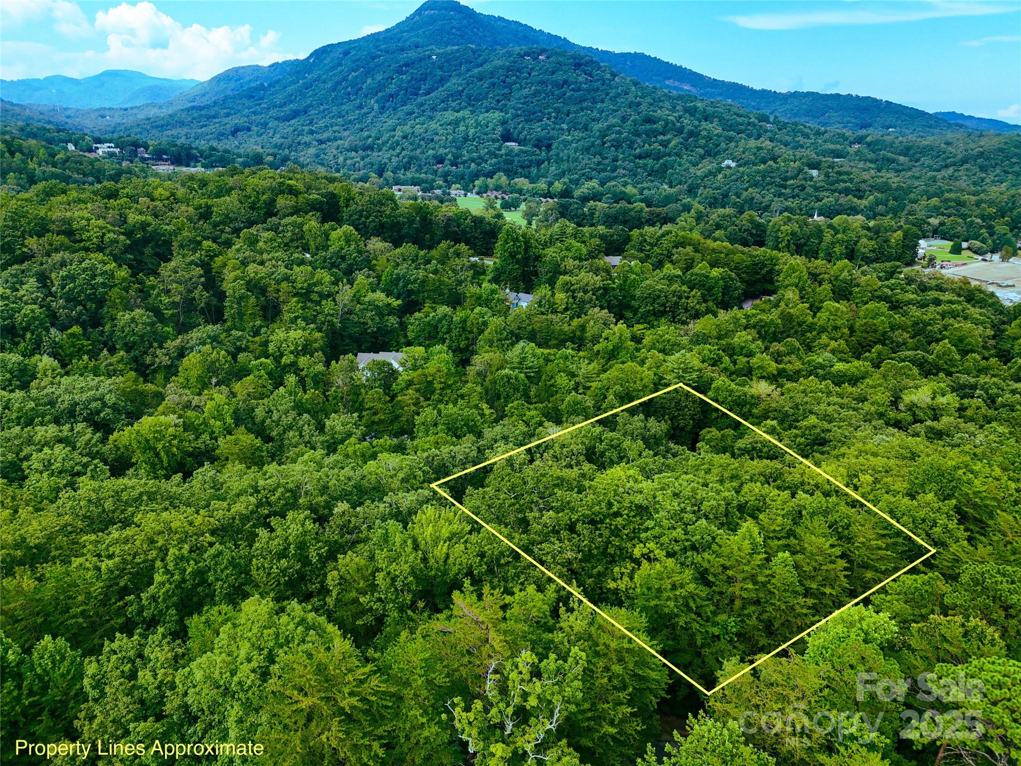 Rumbling Bald on Lake Lure - Land