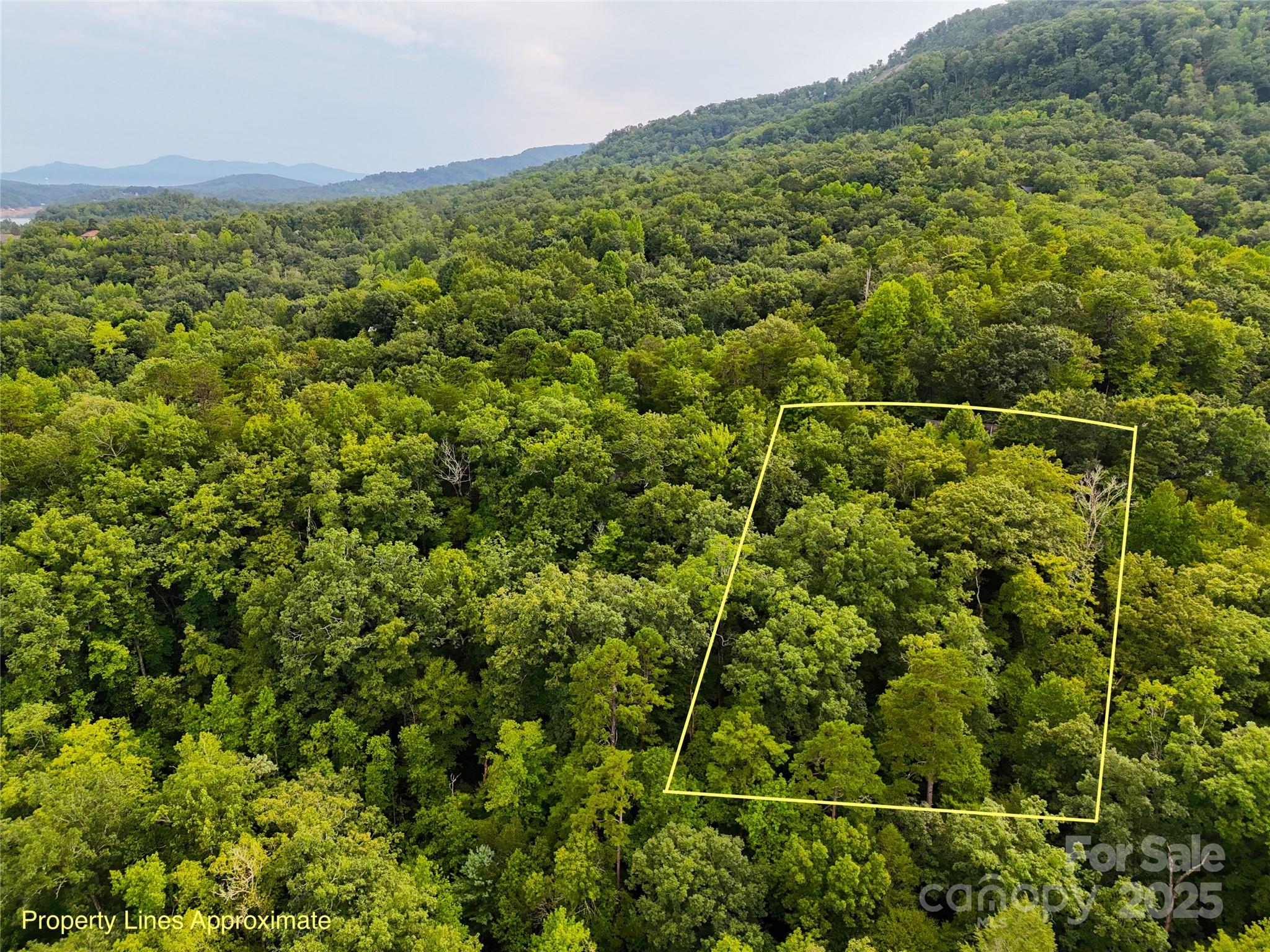 TBD Rumbling Bald Road 15