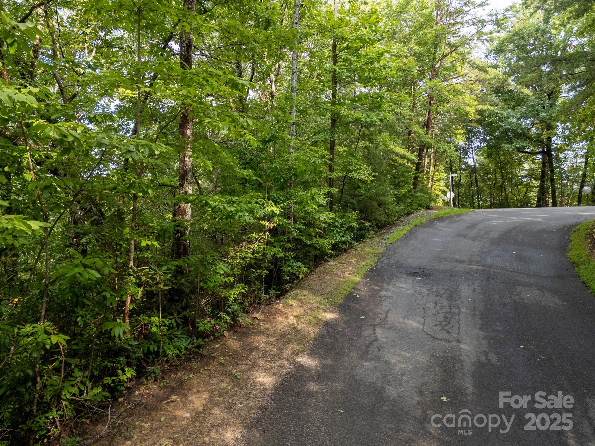 Rumbling Bald on Lake Lure - Land